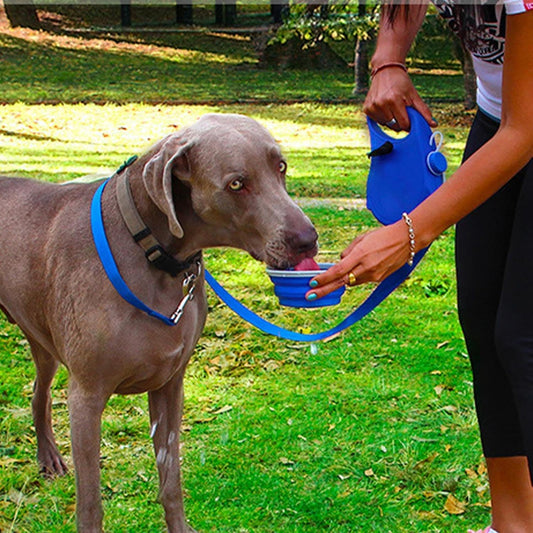 Retractable dog leash with foldable bowl
